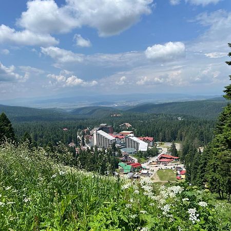 דירות Arboro Borovets Gardens E68 מראה חיצוני תמונה