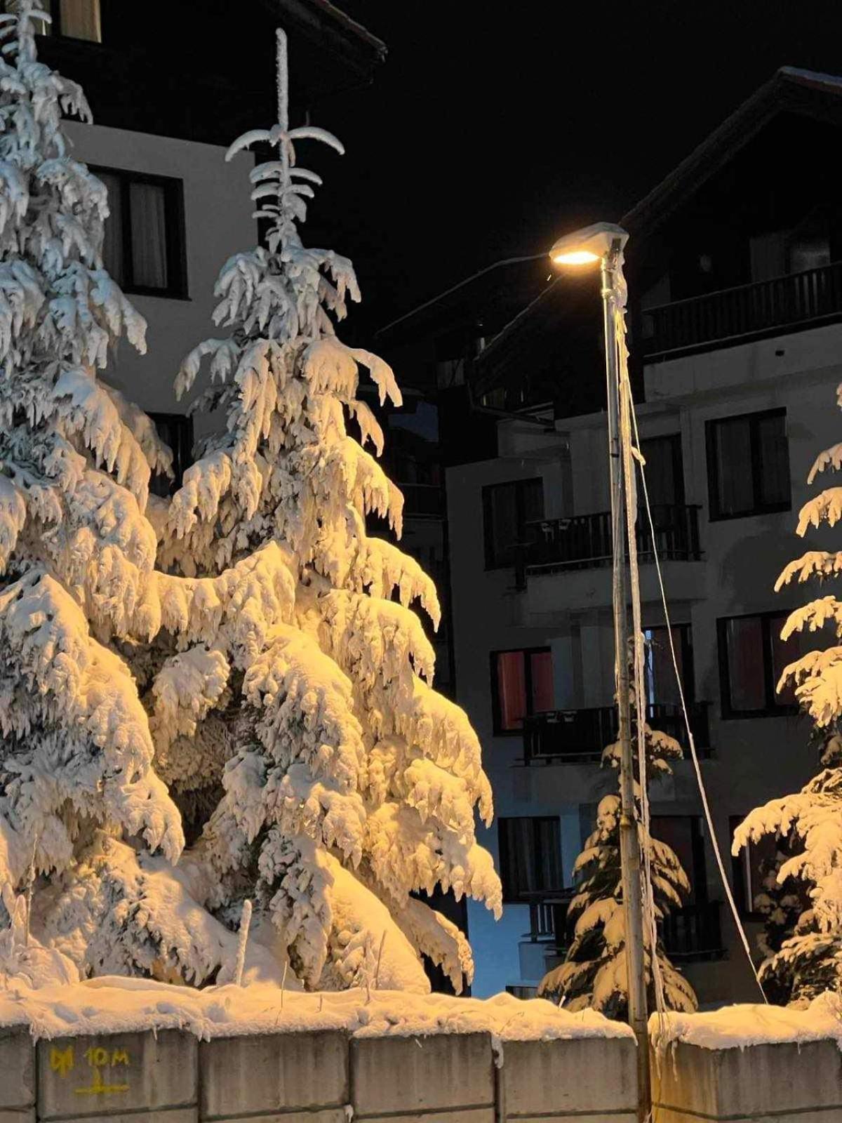 דירות Arboro Borovets Gardens E68 מראה חיצוני תמונה