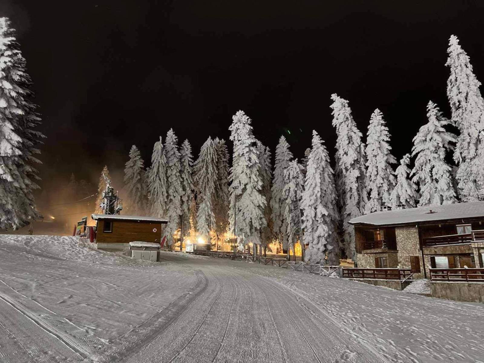 דירות Arboro Borovets Gardens E68 מראה חיצוני תמונה