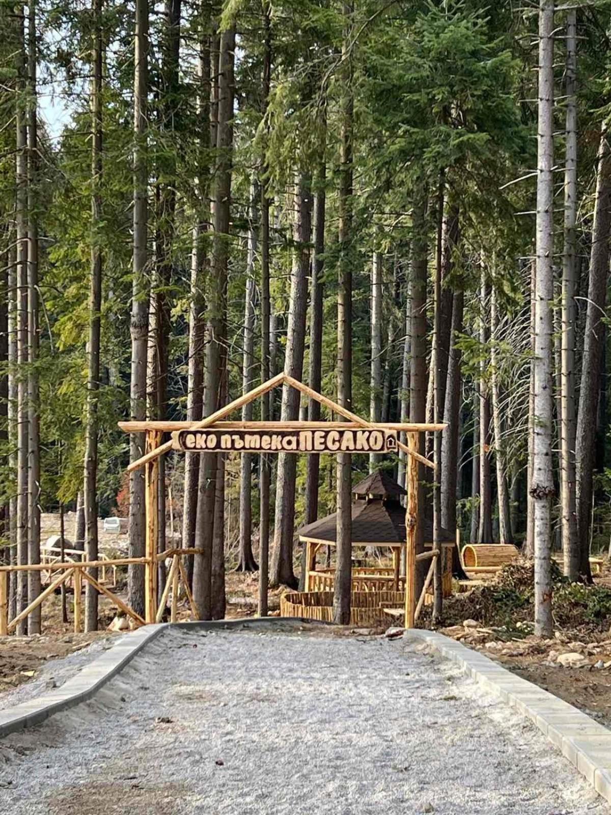 דירות Arboro Borovets Gardens E68 מראה חיצוני תמונה