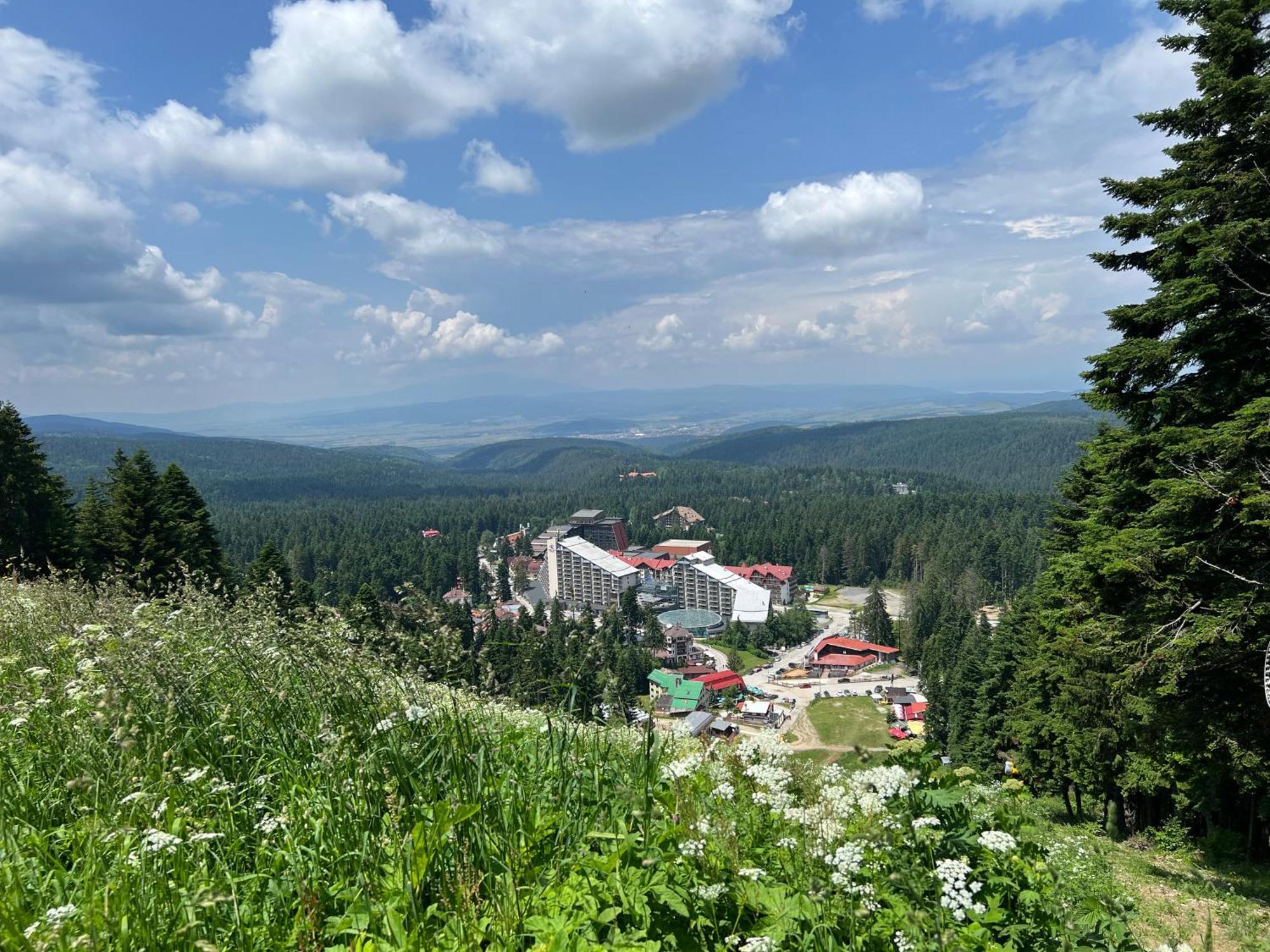 דירות Arboro Borovets Gardens E68 מראה חיצוני תמונה